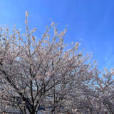 新たな気持ちでスタート！