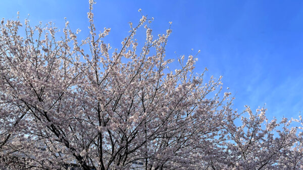 新たな気持ちでスタート！