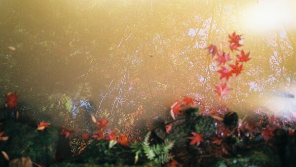 令和５年度所定疾患施設療養費